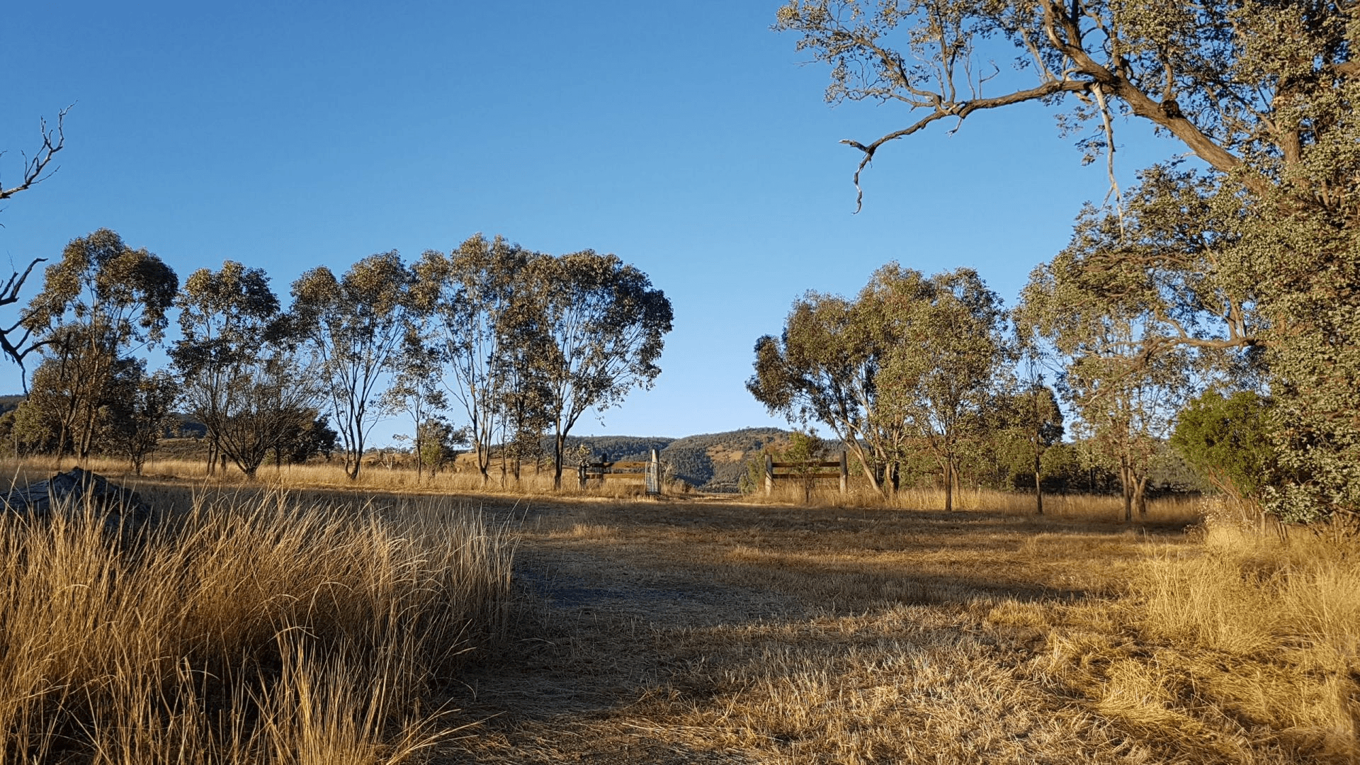 Lot 48 Stone Lane, MOLE RIVER, NSW 2372