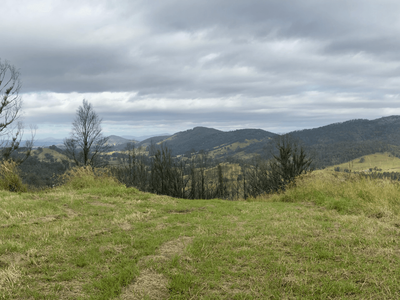 1138 Mooral Creek Road, MOORAL CREEK, NSW 2429