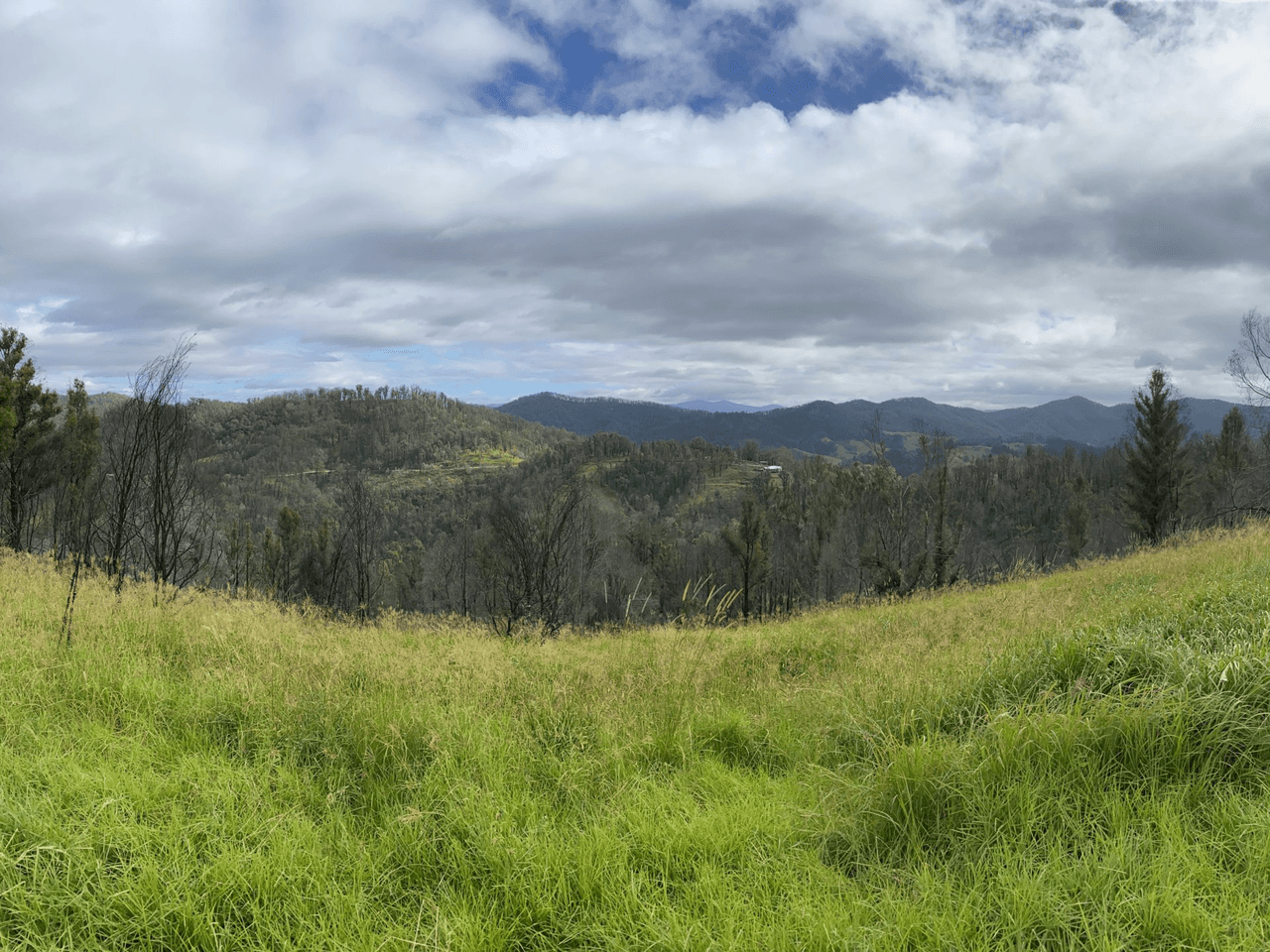 1138 Mooral Creek Road, MOORAL CREEK, NSW 2429