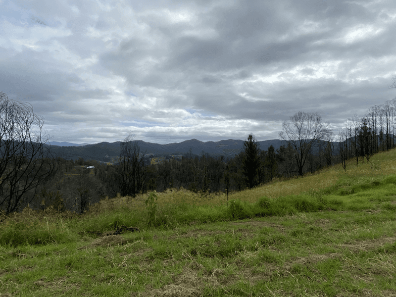 1138 Mooral Creek Road, MOORAL CREEK, NSW 2429