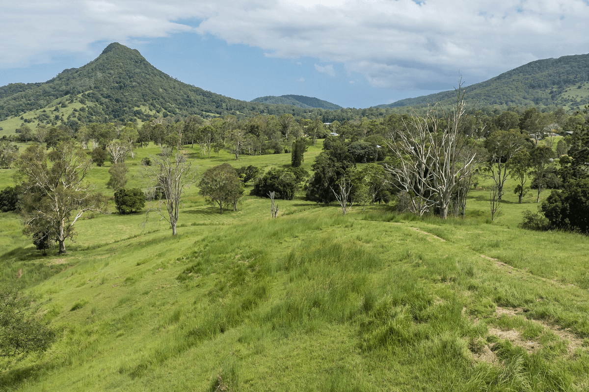 29 Musavale Road, Eerwah Vale, QLD 4562