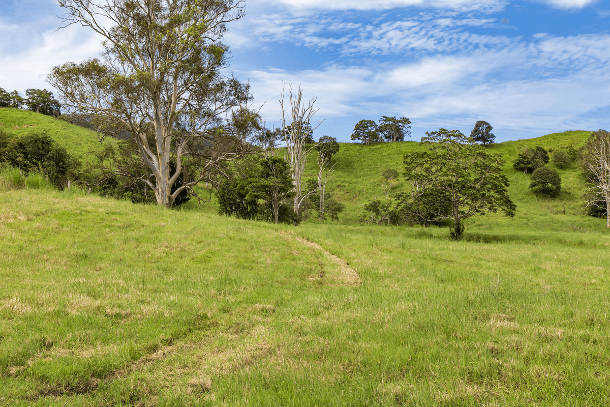 29 Musavale Road, Eerwah Vale, QLD 4562