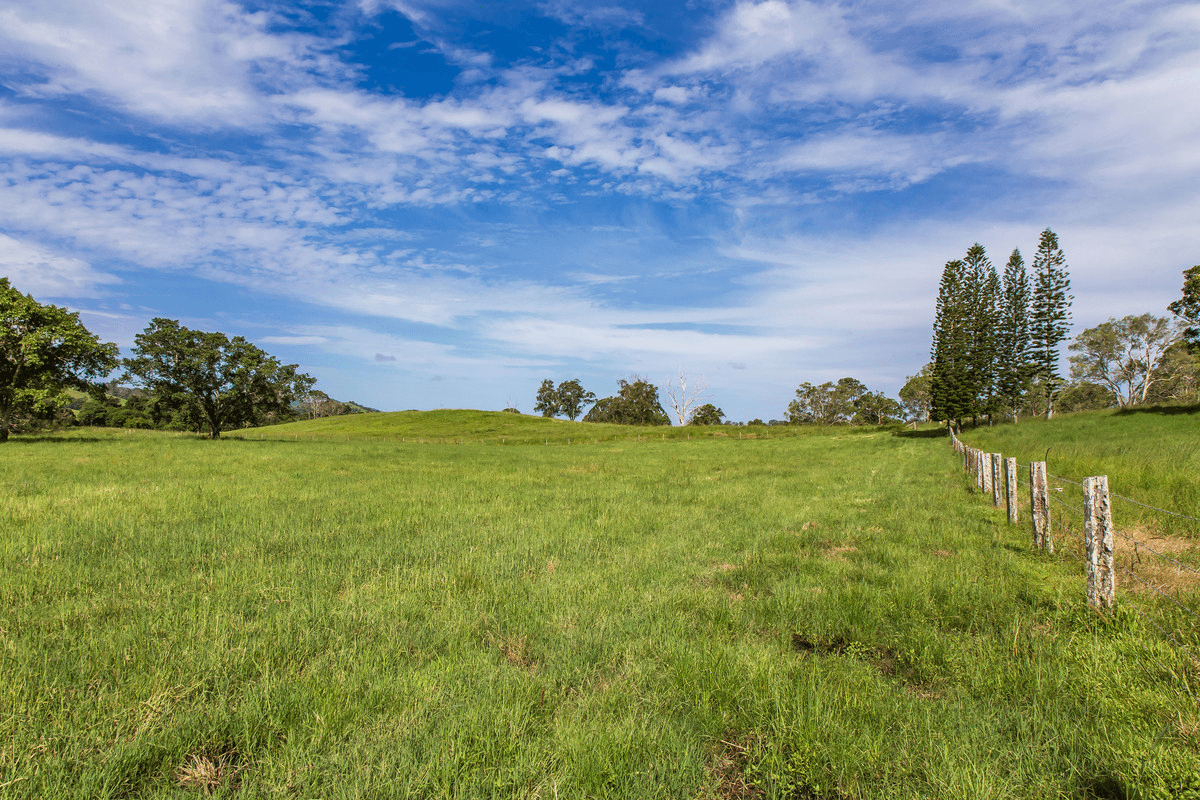 29 Musavale Road, Eerwah Vale, QLD 4562