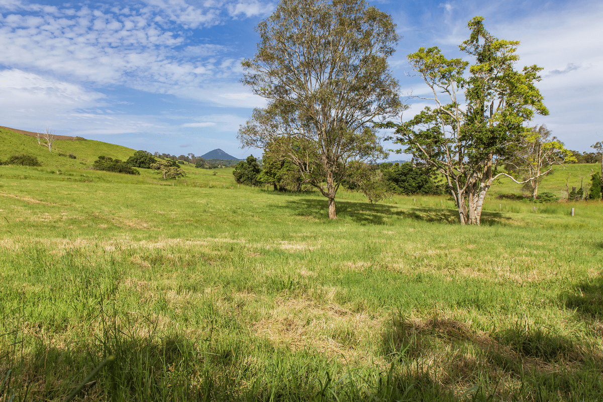 29 Musavale Road, Eerwah Vale, QLD 4562