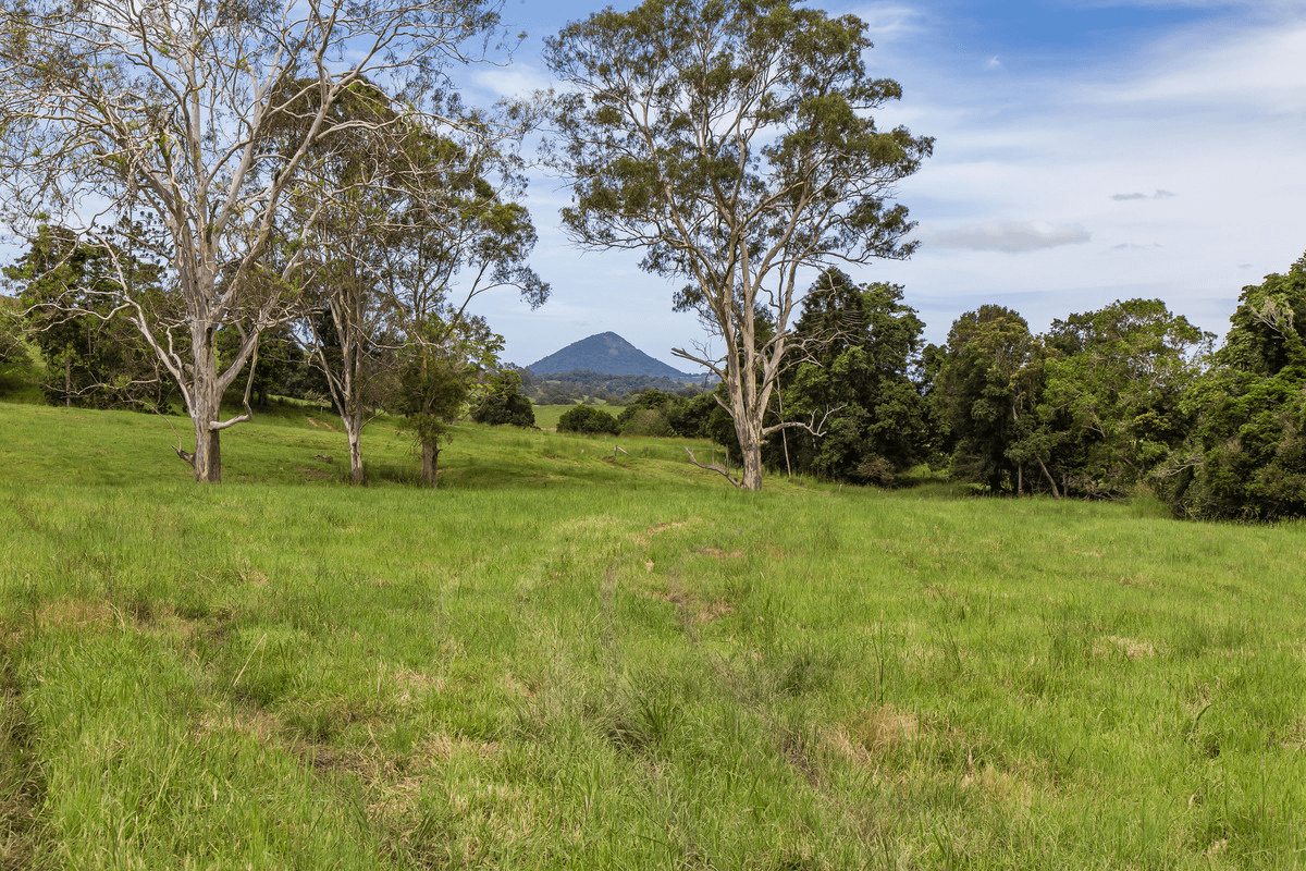 29 Musavale Road, Eerwah Vale, QLD 4562