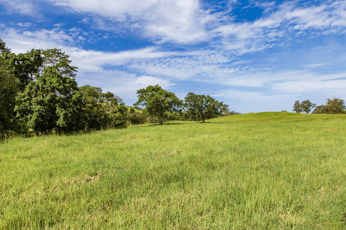 29 Musavale Road, Eerwah Vale, QLD 4562