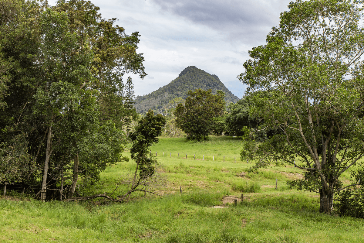 29 Musavale Road, Eerwah Vale, QLD 4562