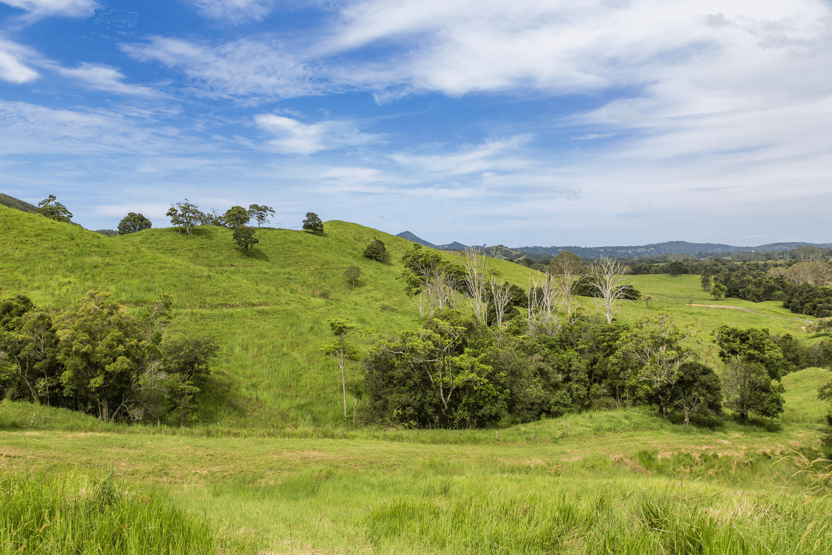 29 Musavale Road, Eerwah Vale, QLD 4562