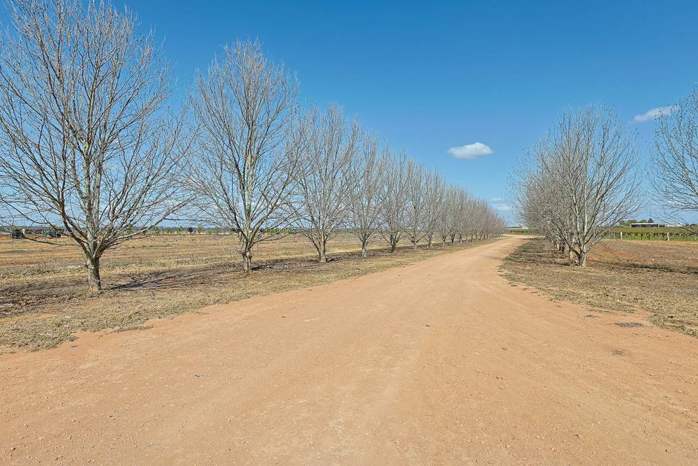28 Brett Road, Euston, NSW 2737