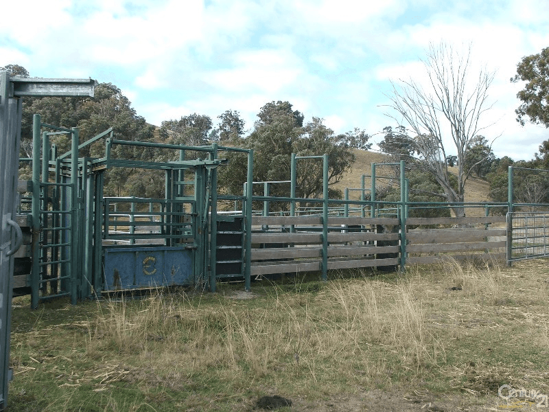The Farm 830 Weabonga Road, Weabonga, NSW 2340