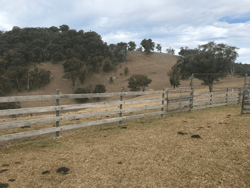 The Farm 830 Weabonga Road, Weabonga, NSW 2340