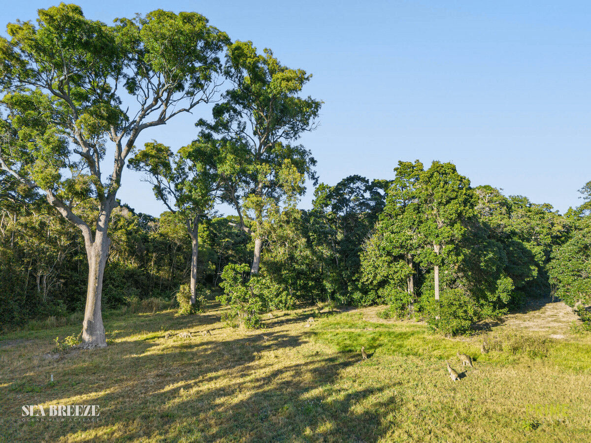 Sea Breeze Estate Hummock View Drive, Craignish, QLD 4655