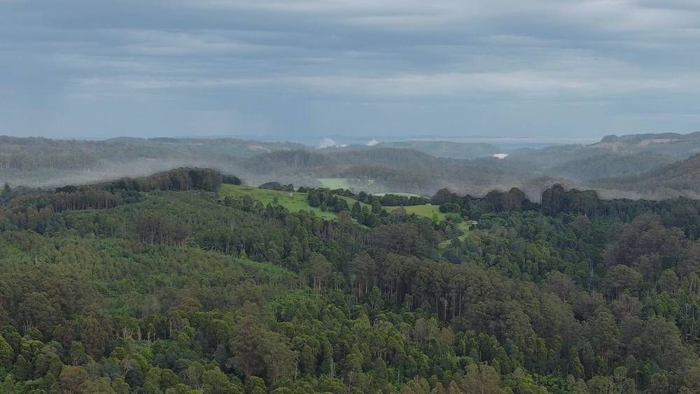 4355 Grand Ridge Road, Grand Ridge, VIC 3870