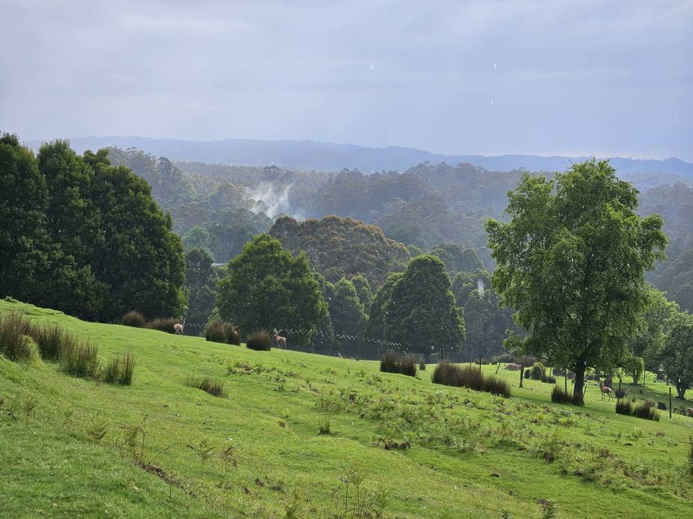 4355 Grand Ridge Road, Grand Ridge, VIC 3870