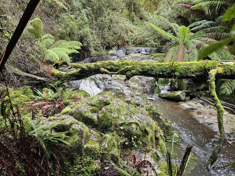 4355 Grand Ridge Road, Grand Ridge, VIC 3870
