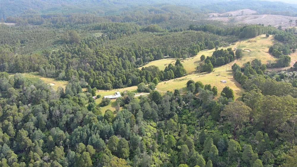 4355 Grand Ridge Road, Grand Ridge, VIC 3870