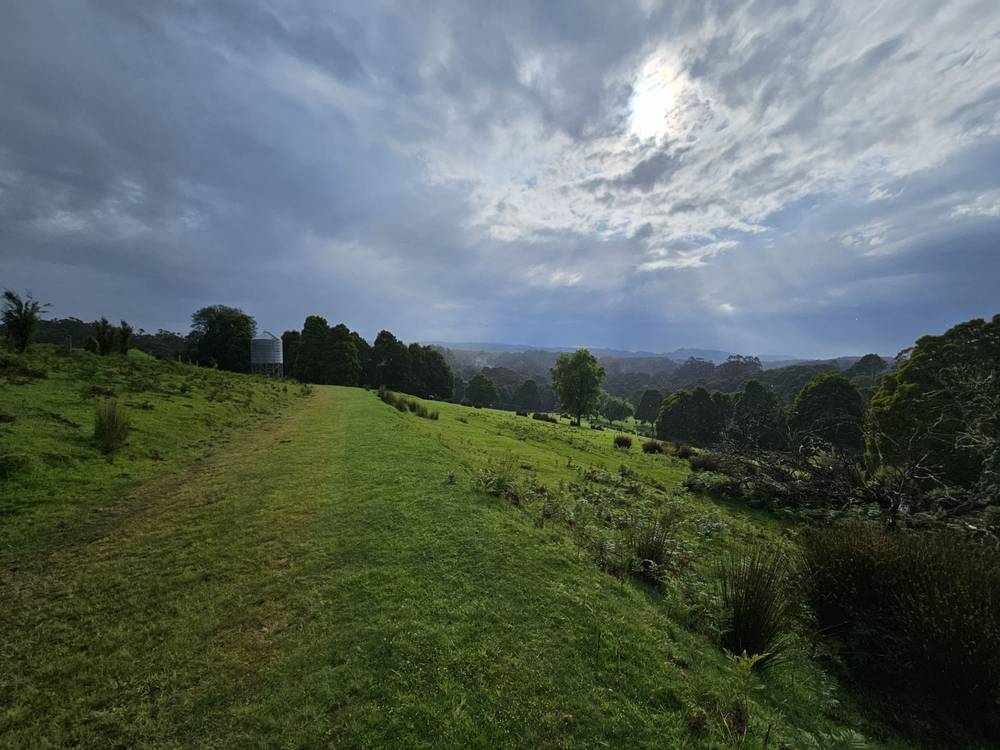4355 Grand Ridge Road, Grand Ridge, VIC 3870