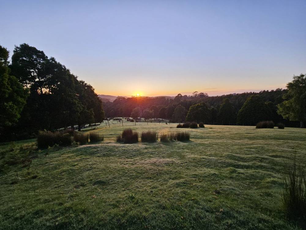 4355 Grand Ridge Road, Grand Ridge, VIC 3870