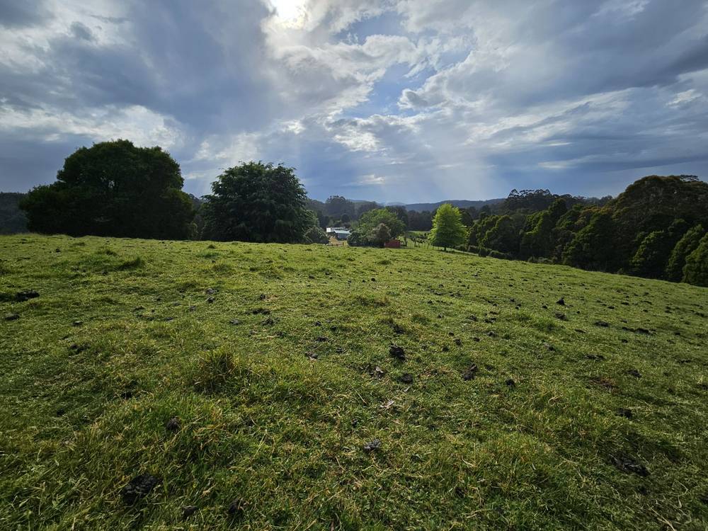 4355 Grand Ridge Road, Grand Ridge, VIC 3870