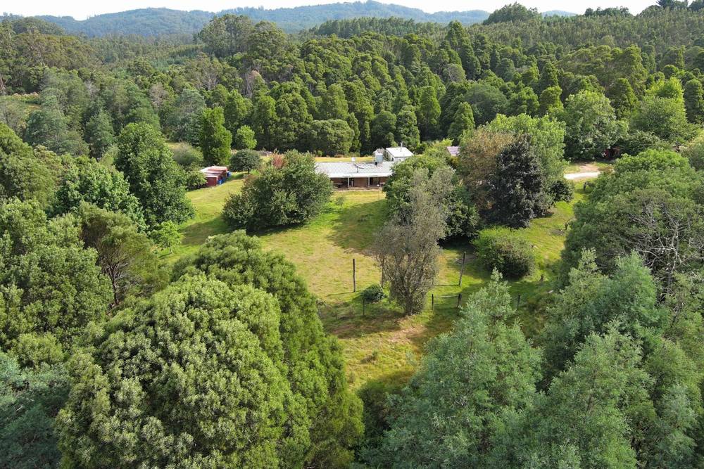 4355 Grand Ridge Road, Grand Ridge, VIC 3870