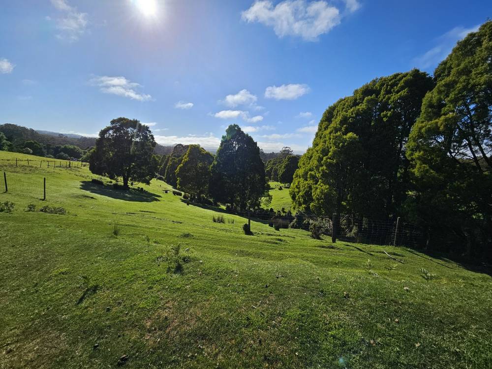 4355 Grand Ridge Road, Grand Ridge, VIC 3870
