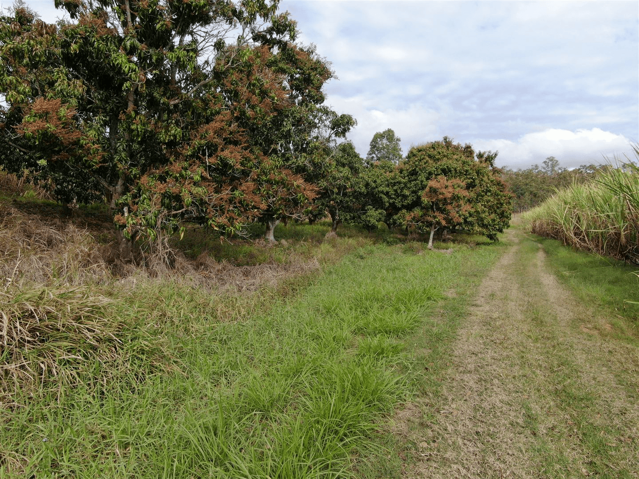 Lot 62 Calen Mt Charlton Road, Calen, QLD 4798