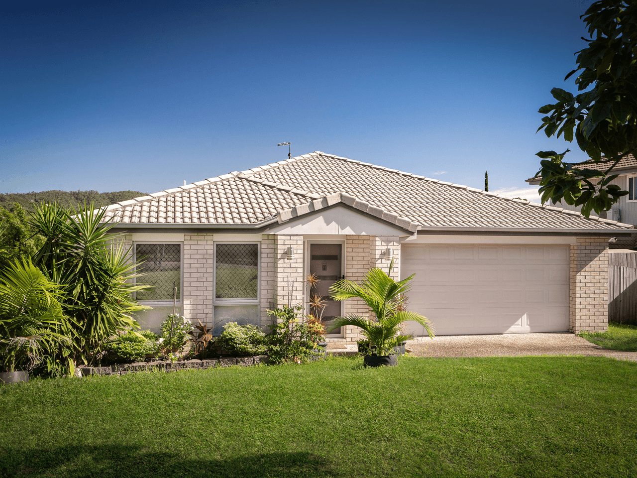 14 Armani Avenue, PIMPAMA, QLD 4209