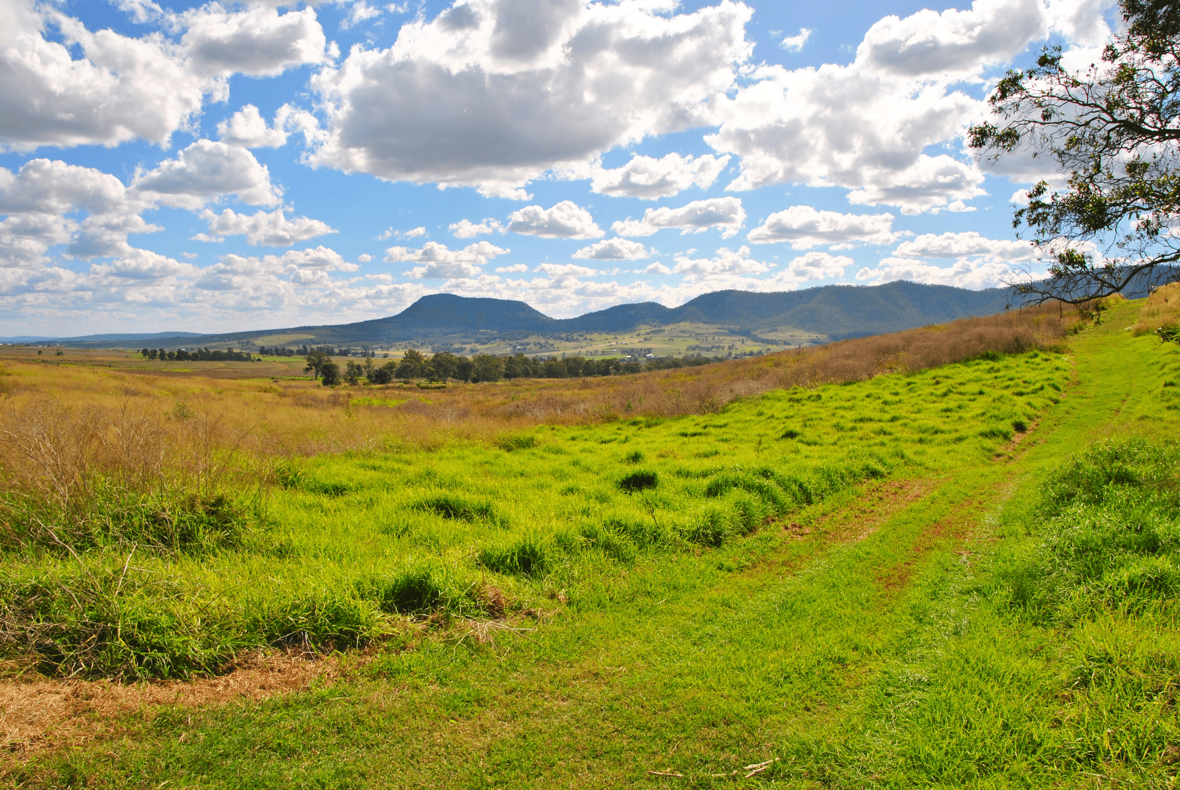 Lots 3,4 & 5 Denmark Lane, Swanfels, QLD 4371