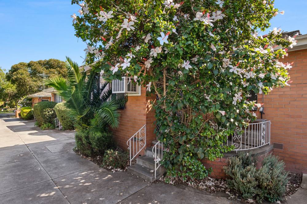 3/48 Richardson Street, Essendon, VIC 3040