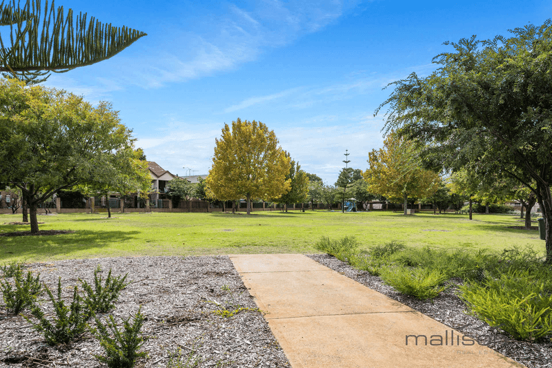 3/20 Gochean Avenue, BENTLEY, WA 6102