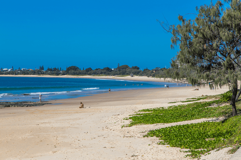 6/46-48 Toorumbee Drive, Mooloolaba, QLD 4557