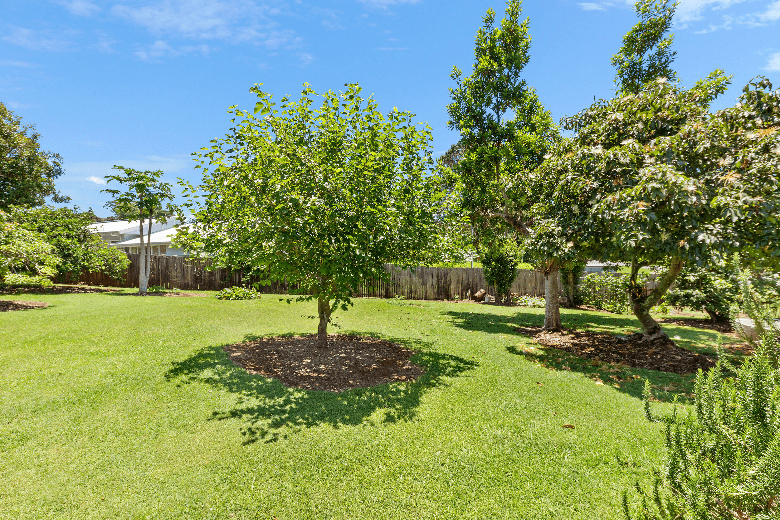 41 Licuala Drive, TAMBORINE MOUNTAIN, QLD 4272