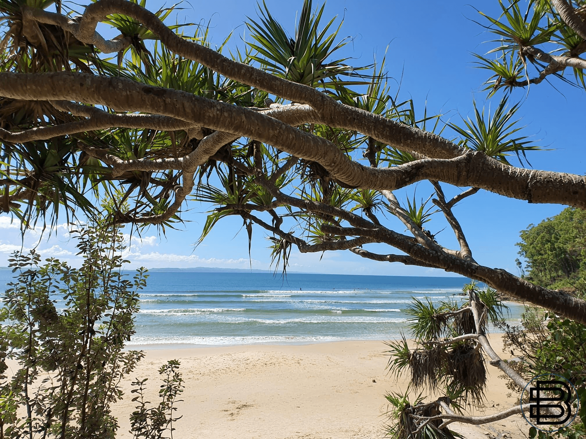1/47 Picture Point Crescent, NOOSA HEADS, QLD 4567