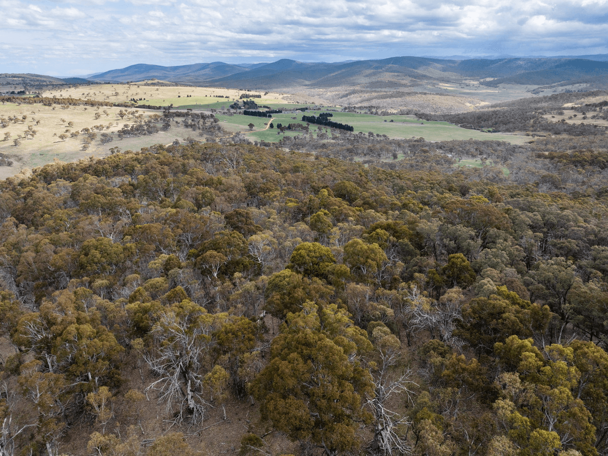 DP 756691 Wainui Road, Eucumbene, NSW 2628