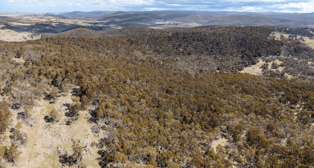 DP 756691 Wainui Road, Eucumbene, NSW 2628