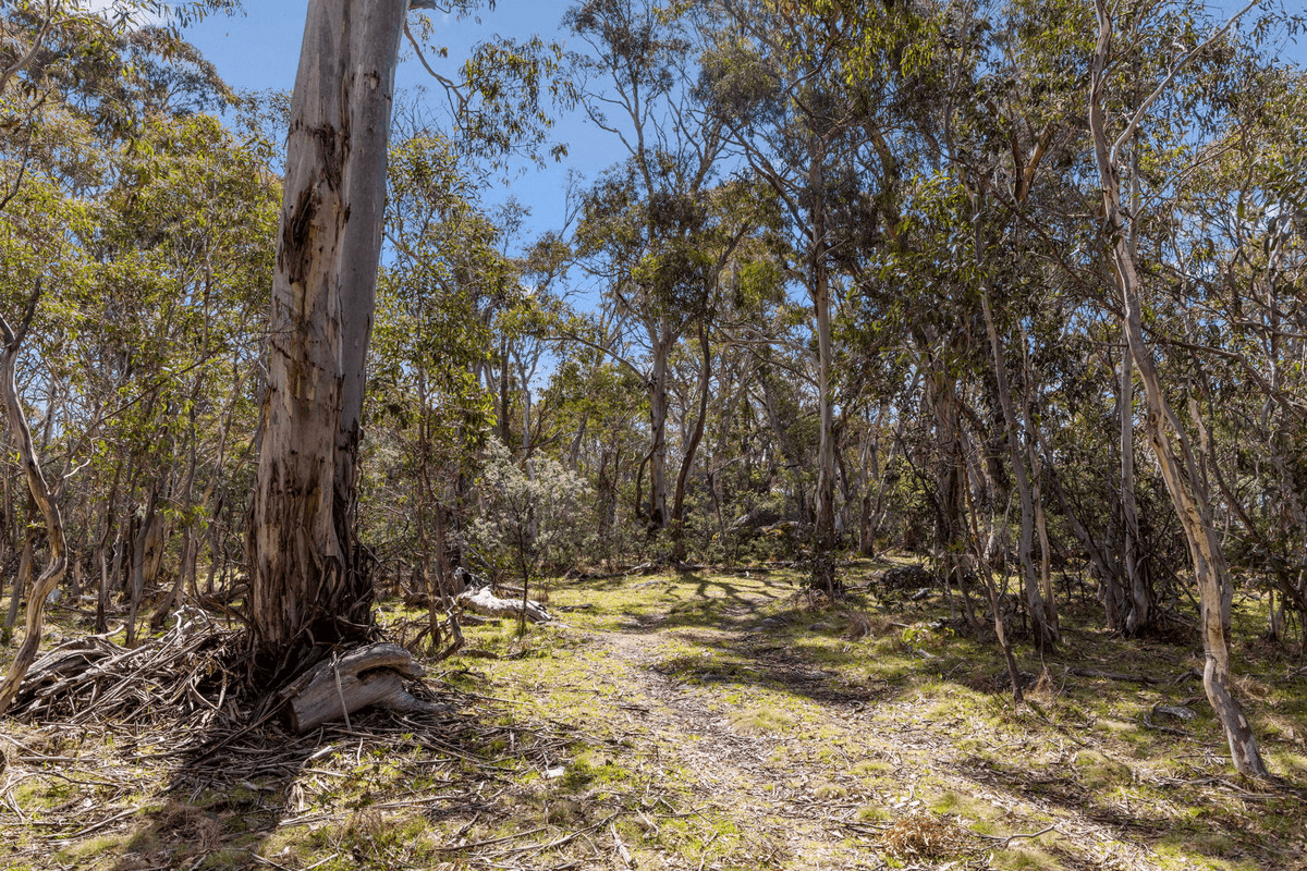 DP 756691 Wainui Road, Eucumbene, NSW 2628