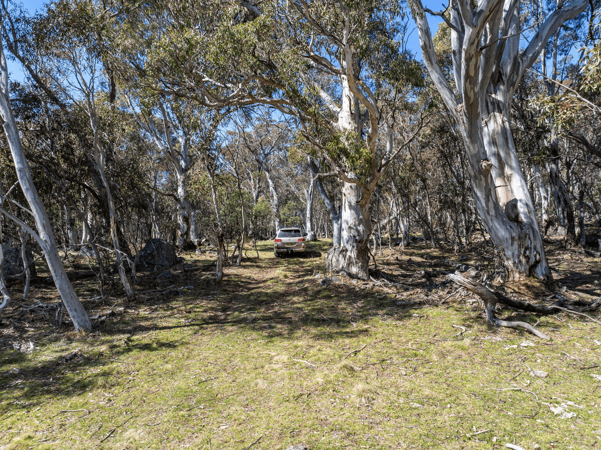 DP 756691 Wainui Road, Eucumbene, NSW 2628