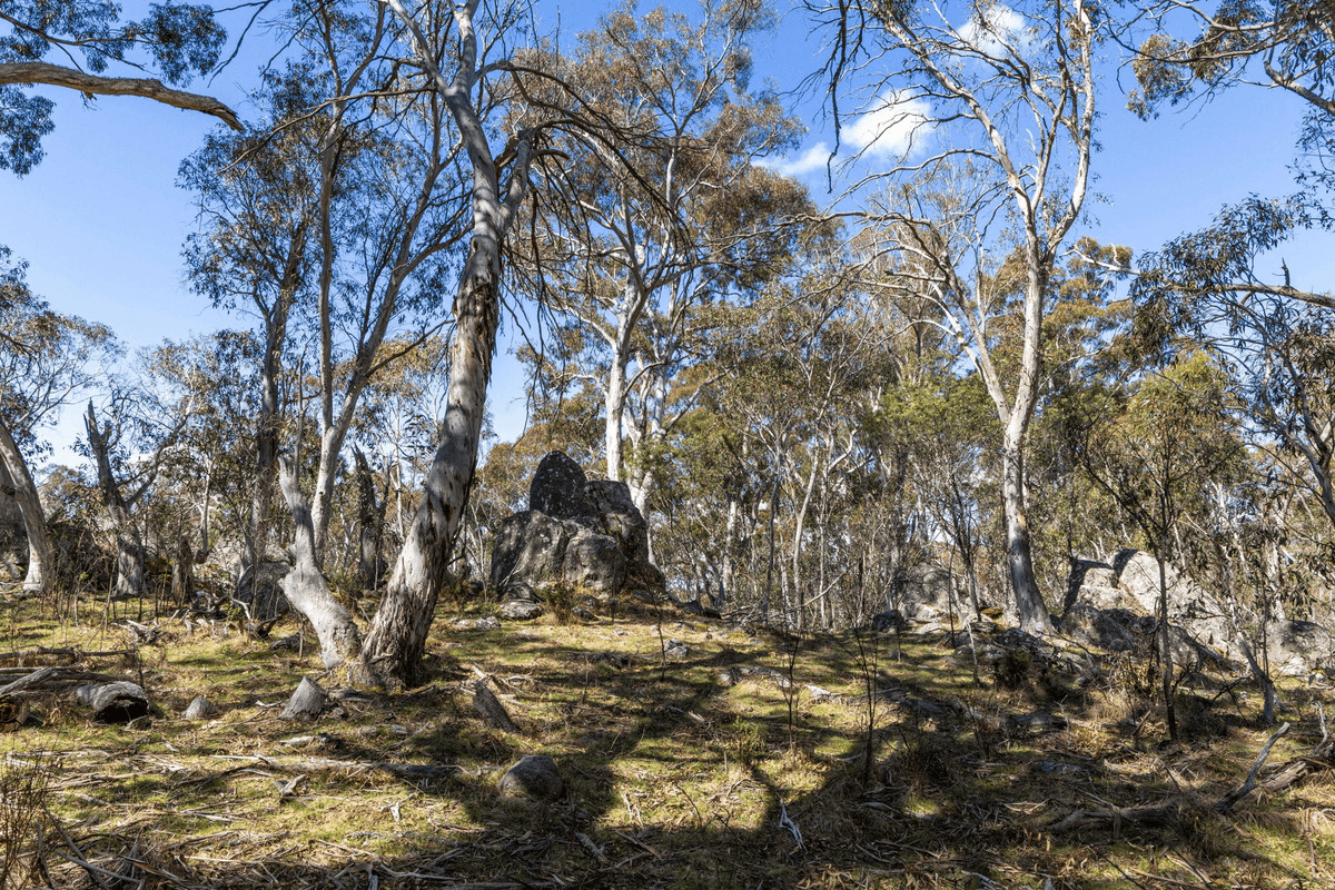 DP 756691 Wainui Road, Eucumbene, NSW 2628