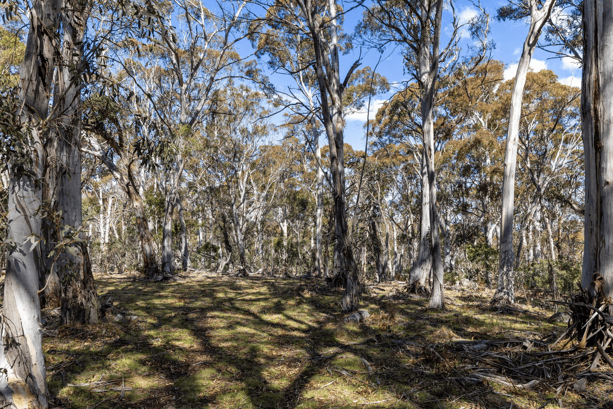 DP 756691 Wainui Road, Eucumbene, NSW 2628