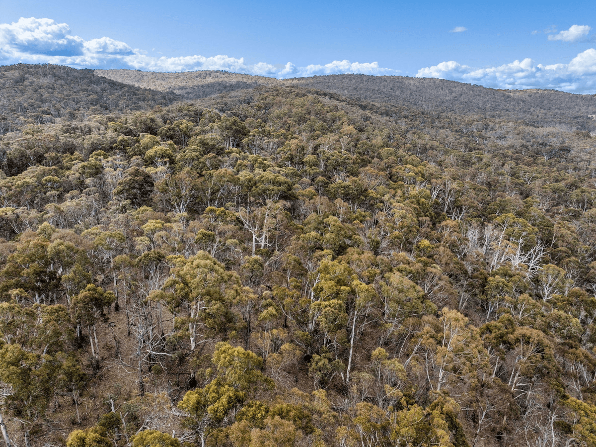 DP 756691 Wainui Road, Eucumbene, NSW 2628