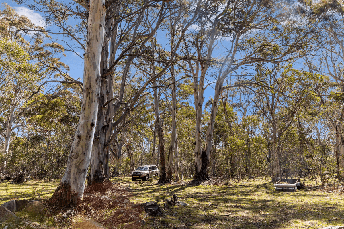 DP 756691 Wainui Road, Eucumbene, NSW 2628