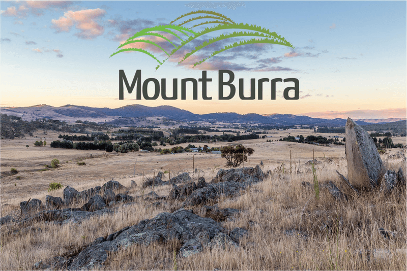 Lot 212 Mount Burra, BURRA, NSW 2620
