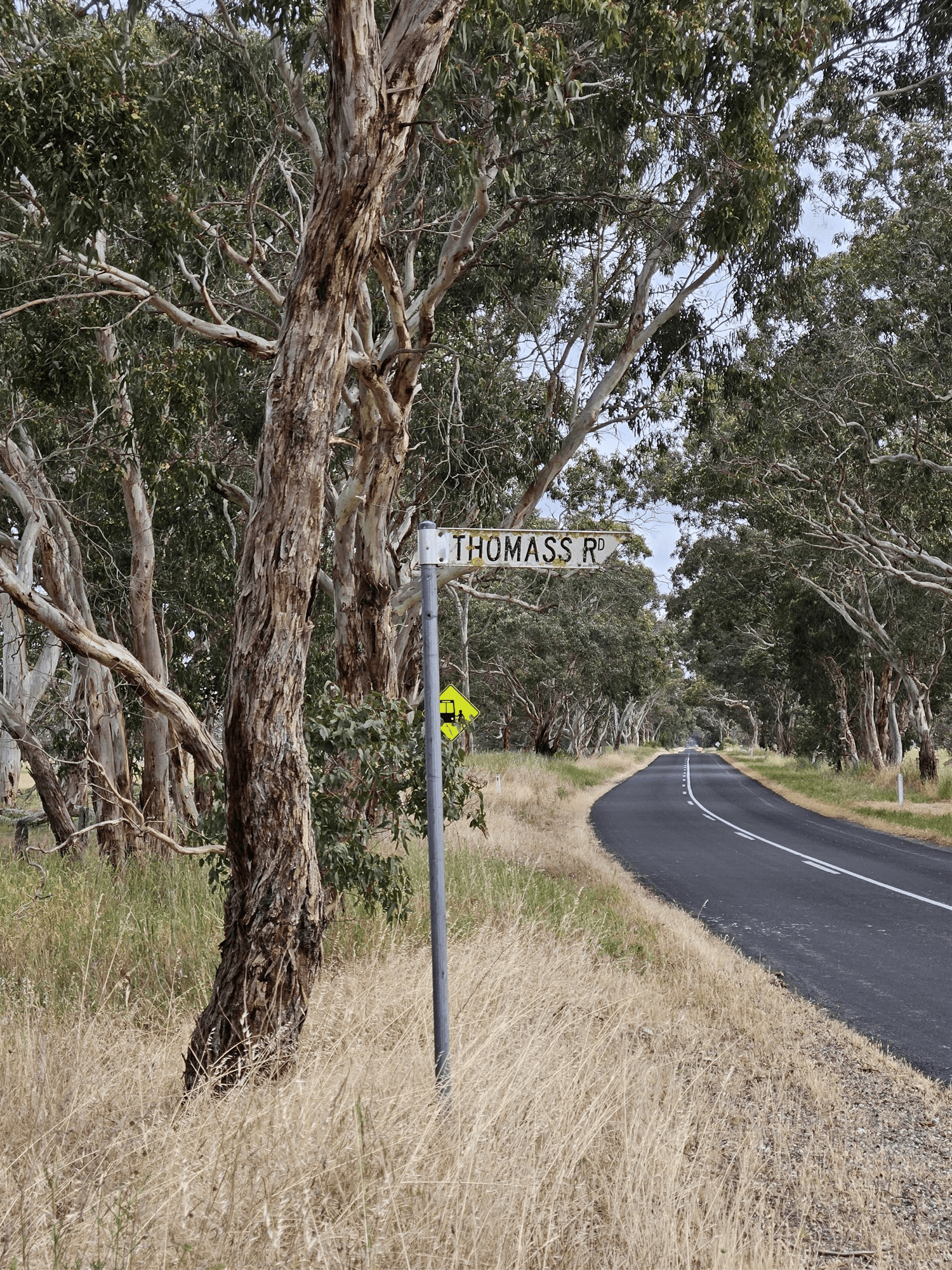Lot 636 Thomas Road, AVENUE RANGE, SA 5273