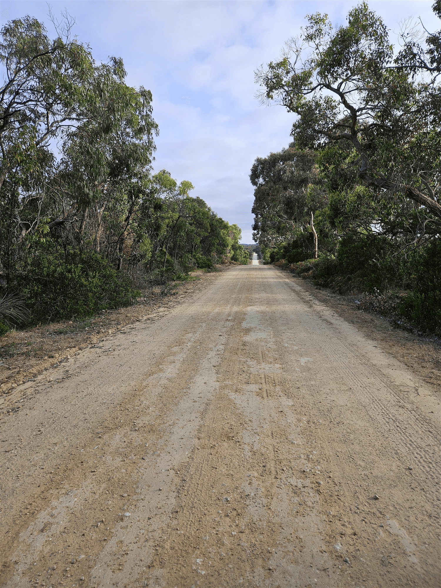 Lot 636 Thomas Road, AVENUE RANGE, SA 5273