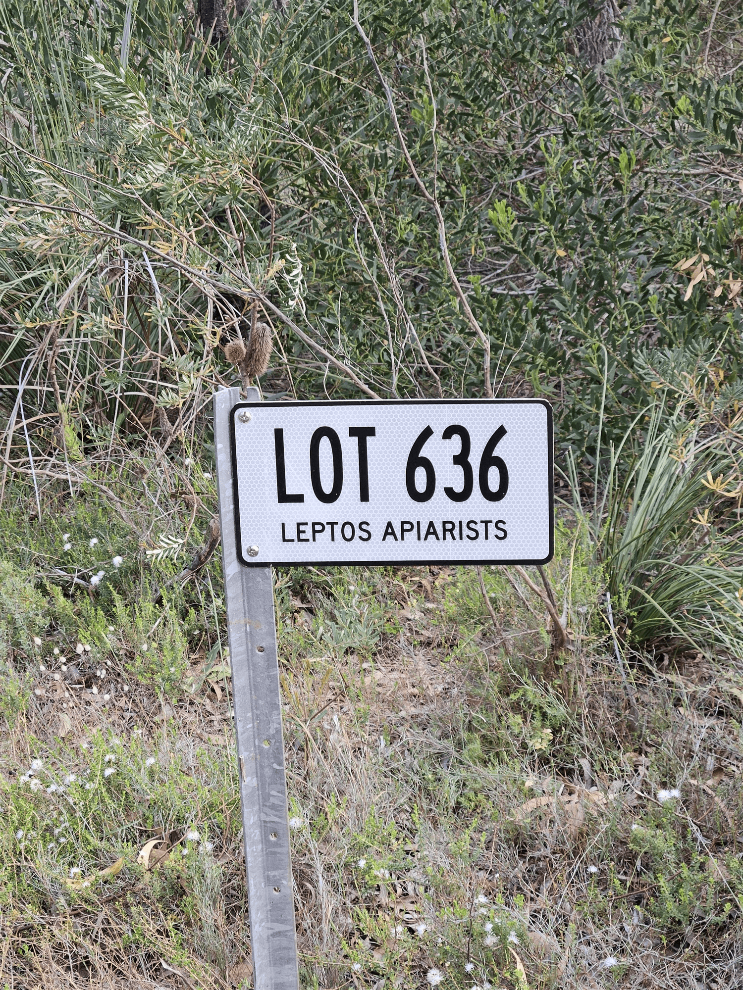 Lot 636 Thomas Road, AVENUE RANGE, SA 5273