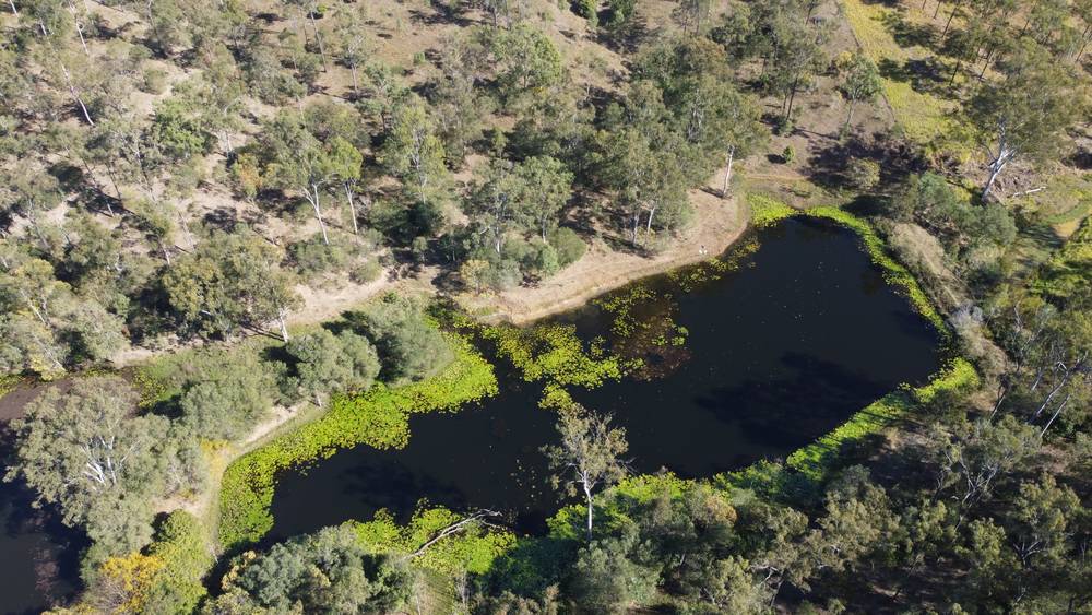 216 Mingo Road, MORGANVILLE, QLD 4671