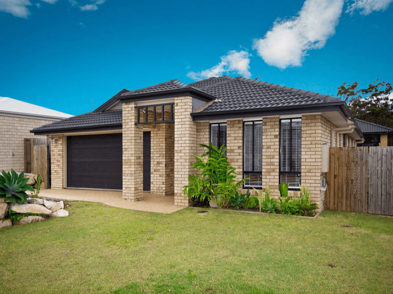 1 Snowdonia Street, DREWVALE, QLD 4116