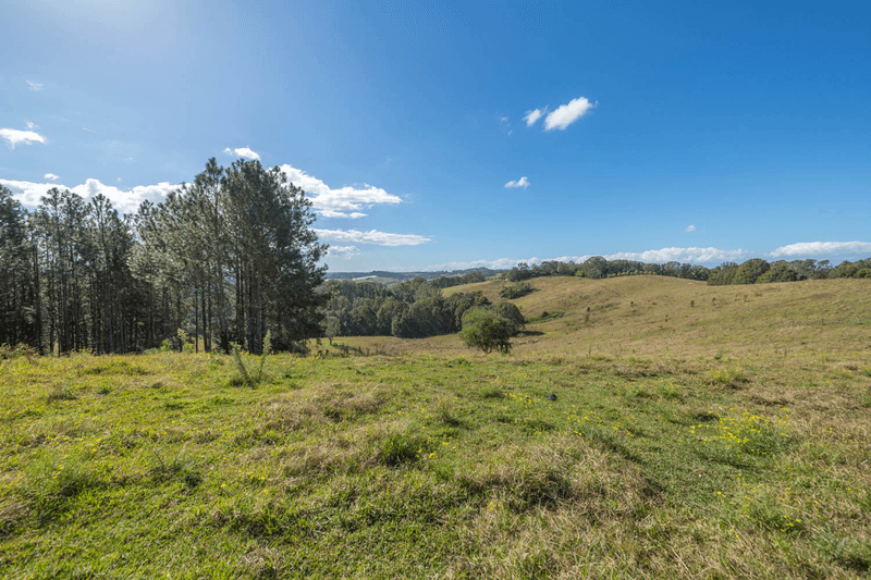 181 Kirklands Lane, Fernleigh, NSW 2479