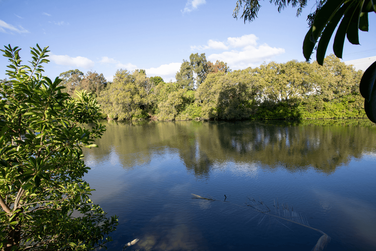 27 River Cove Place, HELENSVALE, QLD 4212