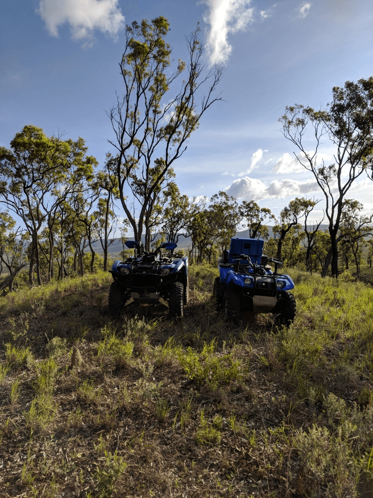 1074 Springmount Road, WALKAMIN, QLD 4872